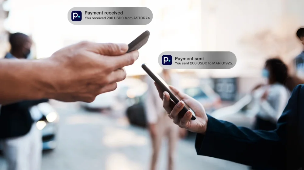Pure Wallet crypto transfer interface showing send cryptocurrency functionality